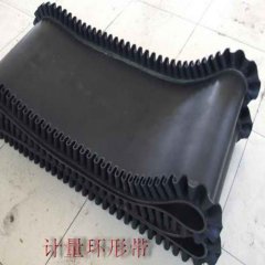 帶式輸送皮帶機給煤機裙邊環(huán)形帶