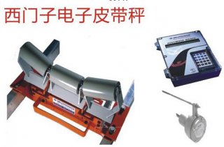 MSI西門(mén)子皮帶秤