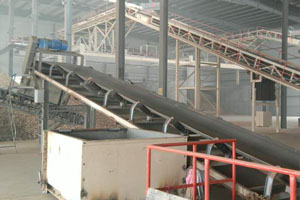 17型皮帶秤使用現場