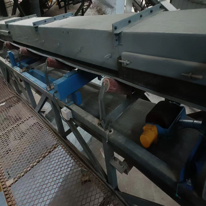 電廠皮帶秤的應用